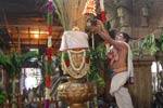 நெல்லையப்பர் ஆனித் திருவிழா கொடியேற்றத்துடன் துவங்கியது!