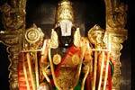 ஜூலை 20ல் பழநியில் சீனிவாச திருக்கல்யாணம்!