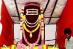 ருத்ராட்ச சிவலிங்கம் காஞ்சிபுரம் வருகை!