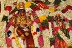 நயினார்கோவில் நாகநாதசுவாமி கோயிலில் ஆடிப்பூர திருக்கல்யாணம்!