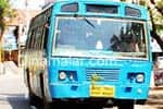 காட்டில் வரும் போது ஆவி பயம்: வேப்பிலை கட்டி ஓடும் அரசு பஸ்!