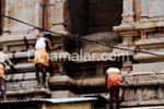 ஸ்ரீரங்கம் ராஜகோபுரத்தில் செடி அகற்றும் பணி தீவிரம்!