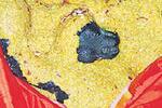 மூலை அனுமார் கோவிலில் செப்., 15ல் ஆவணி அமாவாசை வழிபாடு