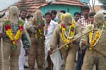 கமுதி அருகே சாக்கு ஆடை வழிபாடு