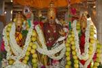 திருச்செந்தூரில் இன்று ஆவணித் தேரோட்டம்