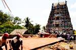 திருஆவினன்குடி கோயில் கும்பாபிஷேக பணி ஜரூர்!