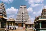 திருவண்ணாமலை காணிக்கை ரூ.79 லட்சம்!