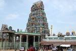 ஆதிகேசவ பெருமாள் கோவில் குளம் குப்பையால் மாசுபடும் அவலம்!