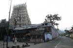 கல்யாண தீர்த்தம் கோடிலிங்கேஸ்வரர் கோயிலில் நித்திய பூஜை!