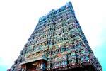 காசிவிசுவநாதர் கோயிலில் தேரோட்டம் கோலாகலம்!