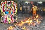 ராசிபுரம் மாரியம்மன் கோவில் தீமிதி திருவிழா கோலாகலம்