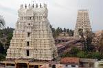 ராமேஸ்வரம் யானைக்கு சிறப்பு பூஜை!
