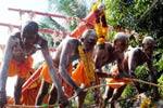 குமார கோயிலுக்கு காவடி பவனி!
