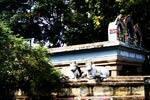 குற்றாலம் கோயிலில் சிறப்பு பூஜை வழிபாடு!