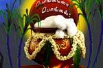 பொங்கல் பூஜை செய்வது எப்படி?