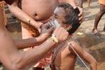 திருவல்லீஸ்வரர் கோயிலில் தங்கமயில் வாகன சேவை!