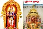 பழநியில் இன்று.. தைப்பூசம் 3ம் நாள்!