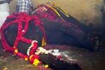 கோவில் யானை அபிராமி மரணம்: ஏராளமான பக்தர்கள் தரிசனம்!