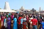 திருச்செந்தூர் கோயிலில் தைப்பூச திருவிழா கோலாகலம்!