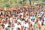 பழநியில் 600 கிலோ பூ அலங்காரம்