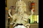 தேவகோட்டை அருகே சாமி சிலை கண்டெடுப்பு!