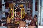 பிரத்யங்கிரா கோயிலில் தை அமாவாசை நிகும்பலா யாகம்!