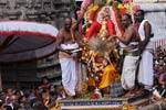 திருநீர்மலையில் ரதசப்தமி கோலாகலம்!