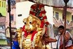 காஞ்சி பிரம்மோற்சவ விழா: தங்க சிம்ம வாகனத்தில் அம்மன் பவனி!