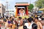 பிரம்மோற்சவ விழா சப்பரத்தில் காமாட்சியம்மன் பவனி!