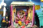 திருச்செந்தூரில் மாசித் திருவிழா: சுவாமி சிவப்பு சாத்திவீதி உலா!
