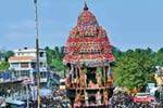திருச்செந்தூரில் மாசித்தேரோட்ட விழா!