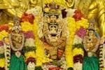 திண்டிவனம் ஸ்ரீநிவாசப் பெருமாளுக்கு திருக்கல்யாணம் உற்சவம்!