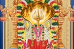 மூங்கிலணை  காமாட்சியம்மன் சிவராத்திரி திருவிழா: பாதுகாப்பிற்கு 500 போலீசார்!