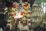 வீரக்குடி முருகய்யனார் கோவில் மஹா சிவராத்திரி உற்சவம்!