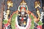 நரசிம்மருக்கு மூலிகை மந்திர ஹோமம்!