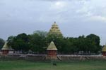 தெப்பக்குளம் மாரியம்மன் கோயில் பங்குனி விழா துவக்கம்