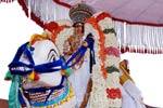 காஞ்சி யதோக்தகாரி பெருமாள் கோவிலில் கருடசேவை!