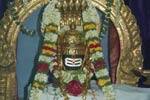 போடி பரமசிவன் கோயில் திருவிழா கொடியேற்றம்!