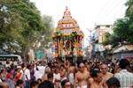 யதோக்தகாரி பெருமாள் கோவில் தேரோட்டம் கோலாகலம்!