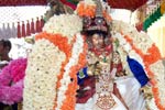 நாச்சியார் திருக்கோலத்தில் காஞ்சி அஷ்டபுஜ பெருமாள் உலா!