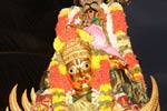 ஸ்ரீரங்கம் சித்திரை திருவிழா: தங்கக்கருட வாகனத்தில் அழகிய நம்பெருமாள் உலா!