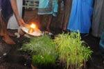முளைப்பாரி வழிபாட்டுடன் உடுமலை தேர்த்திருவிழா நிறைவு!