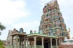 கோவில் குளத்திற்கு தடுப்பு வேலி அமைக்க பக்தர்கள் எதிர்பார்ப்பு