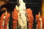 திருப்பரங்குன்றத்தில் வைகாசி விசாக விழா!