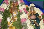 திருப்பரங்குன்றம் கோயிலில் மொட்டையரசு திருவிழா!