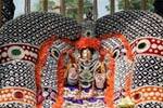திருச்சானூர் கோவிலில் வி.ஐ.பி., தரிசன முறையில் மாற்றம்!