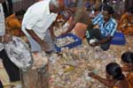 வீரபாண்டி உண்டியல் ரூ.8.65 லட்சம் வசூல்!