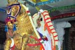 குதிரை வாகனத்தில் காஞ்சி வரதராஜ பெருமாள் உலா!