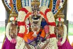 வைகுண்ட பெருமாள் சேஷ வாகனத்தில் உலா!