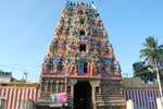 ஆலங்குடி கோவிலுக்கு தேர்: பூஜையுடன் பணி துவக்கம்!